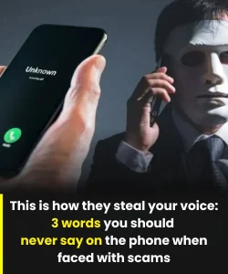 «Συναγερμός! Η λέξη που μπορεί να μετατρέψει τη φωνή σου σε κλειδί για απάτη με τεχνητή νοημοσύνη.»