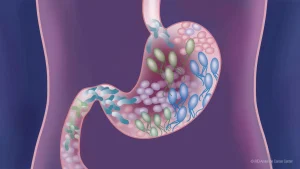 Η Σύνδεση Μεταξύ του Ύπνου στην Αριστερή Πλευρά και της Καλύτερης Υγείας του Εντέρου