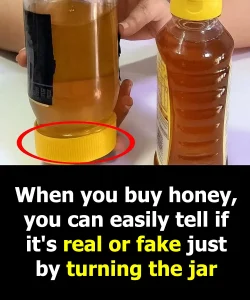 👉 «5 εύκολοι τρόποι για να ελέγξεις το μέλι στο σπίτι — Ο αριθμός 3 εξέπληξε ακόμα και τους μελισσοκόμους!»