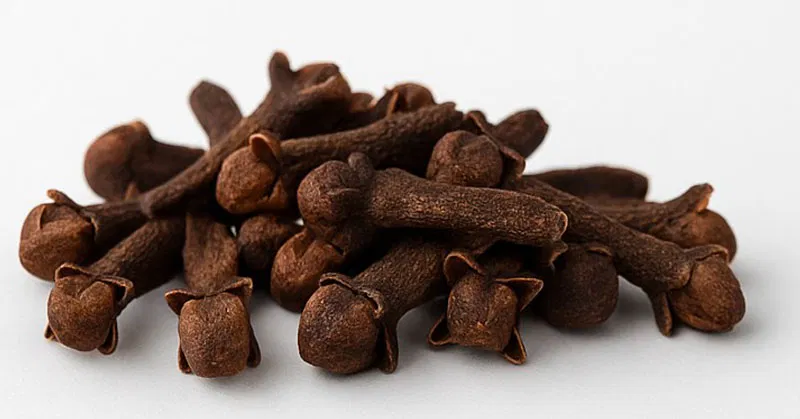 Γαρύφαλλο: Μια Φυσική Υπερτροφή για την Υγεία Σας