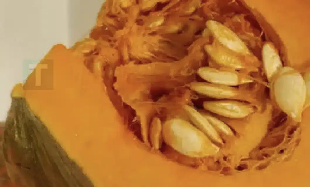 Οι γιατροί αποκαλύπτουν ότι η κατανάλωση κολοκύθας προκαλεί…