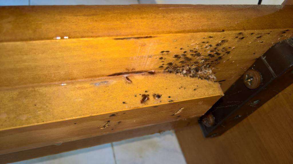 ΣΟΚ ΠΡΟΣΟΧΗ: Αν δείτε αυτά τα σημάδια στο δέρμα σας, σημαίνει…