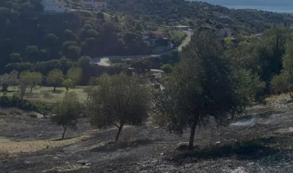 Θρήνος για τον 80χρονο συνταξιούχο αγρότη που κάηκε ζωντανός προσπαθώντας να κάψει ξερόχορτα