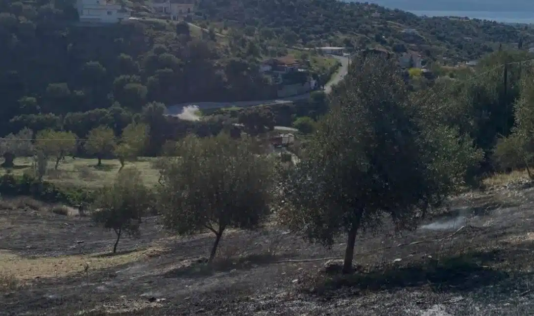 Θρήνος για τον 80χρονο συνταξιούχο αγρότη που κάηκε ζωντανός προσπαθώντας να κάψει ξερόχορτα