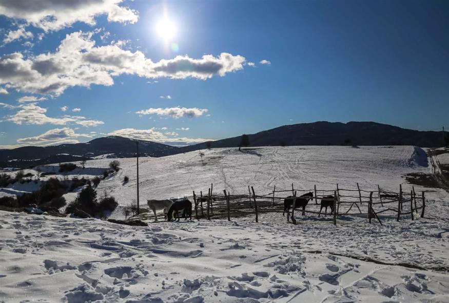 Χιόνισε σε πανέμορφη ελληνική περιοχή – H πρώτη αξιόλογη χιονόπτωση