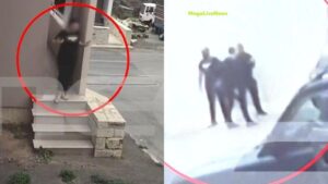 Βορίζια: Η στιγμή που οι αστυνομικοί «λούφαραν» ενώ εκτυλισσόταν το μακελειό