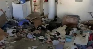 Βασιλιάδες της ακαταστασίας: Ποια είναι τα 3 πιο ανοργάνωτα ζώδια