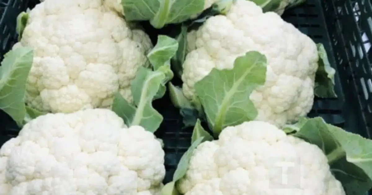 Γιατροί αποκαλύπτουν ότι η κατανάλωση κουνουπιδιού προκαλεί…