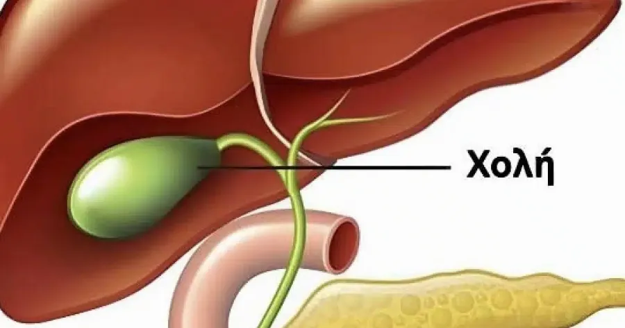 Τι συμβαίνει στο σώμα μετά την αφαίρεση της χοληδόχου κύστης;