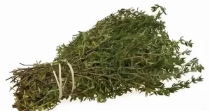 Το πιο Iσxupo βότανο που Kαταστpέφει παpάσιτα, λοιμώξεις του ουροποιητικού συστήματος και της ουροδόχου κύστης, έρπητα, ιούς γρίπης, πόvouς στις αρθρώσεις, αρθρίτιδα, ισχιαλγία, κάντιντα