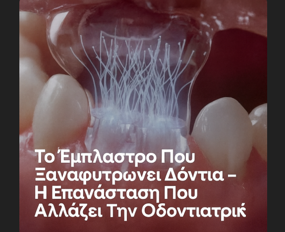 Το Μικροσκοπικό Έμπλαστρο Που Ξαναφυτρώνει Δόντια – Η Επανάσταση Που Αλλάζει Την Οδοντιατρική Για Πάντα