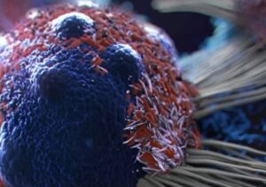 8 Αντικαρκινικές Τροφές που Βοηθούν στη Μείωση του Κινδύνου Καρκίνου