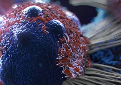 8 Αντικαρκινικές Τροφές που Βοηθούν στη Μείωση του Κινδύνου Καρκίνου