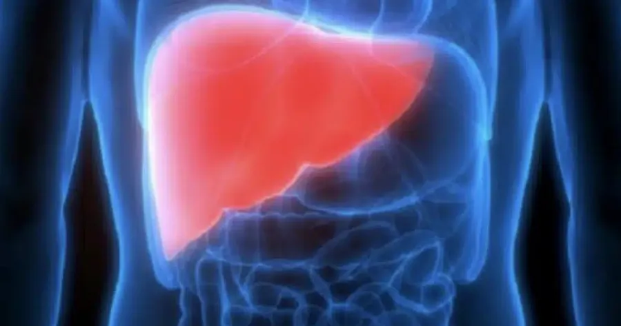 KINΔYNEYEI ΤΟ ΣΥΚΩΤΙ ΣΑΣ; 12 Πρώιμα Σημάδια ΚΙΡΡΩΣΗΣ ΤΟΥ ΗΠΑΤΟΣ που δεν πρέπει να Aγvonσετε