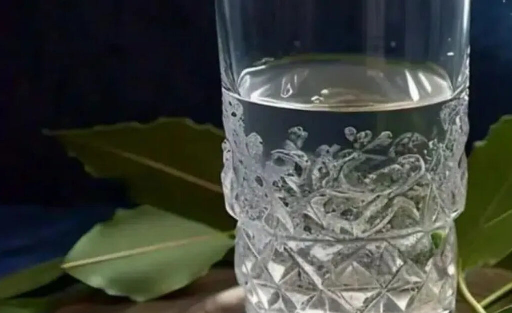 Δεν το ξέρει κανείς: Γιατί πρέπει να βάζετε φύλλα δάφνης στο νερό πριν από τις 24 Δεκεμβρίου