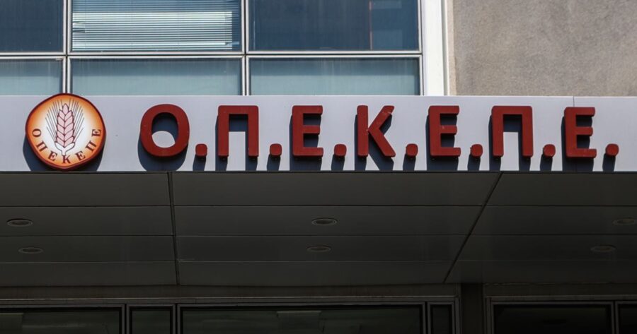 ΟΠΕΚΕΠΕ: ΜΠΑΙΝΕΙ ΕΠΙΤΕΛΟΥΣ ΦΥΛΑΚΗ