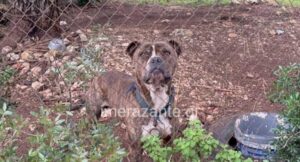 ΜΑΘΕΥΤΗΚΕ ΤΙ ΕΚΑΝΑΝ ΣΤΟ ΠΙΤΜΠΟΥΛ ΣΤΗ ΖΑΚΥΝΘΟ