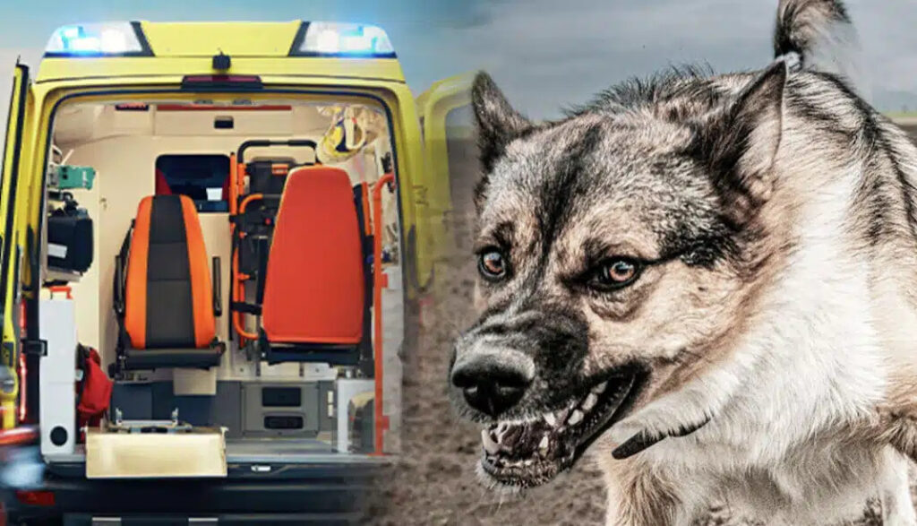 Σοκ σήμερα στη Ζάκυνθο με νεκρό 2χρονο παιδάκι – Μαθεύτηκε όλη η αλήθεια – Η ράτσα του σκύλου