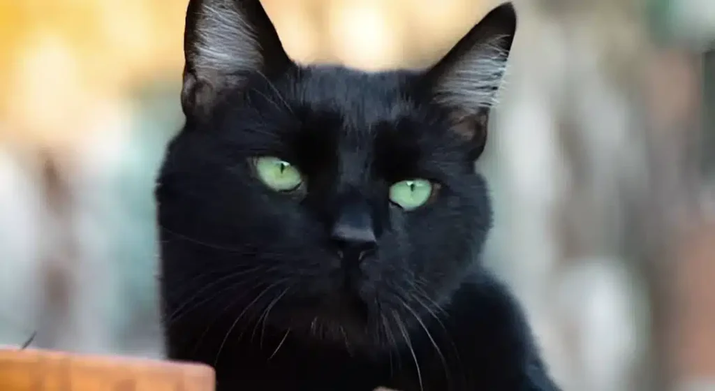 Τα 3 άτυχα ζώδια του 2026 – Θα δοκιμαστούν περισσότερο από όλους