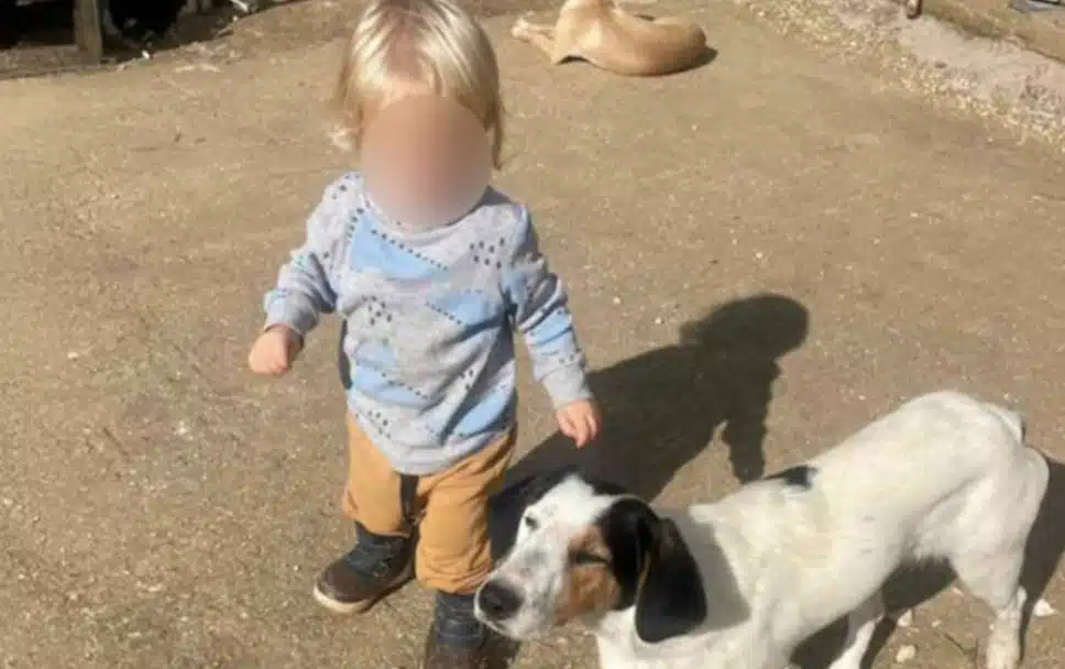 Αυτός είναι το ξανθό αγγελούδι που κατασπάραξε το πίτμπουλ χτες στην Ζάκυνθο – Μαθεύτηκε όλη η αλήθεια