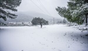 Καιρός: Τι πιθανότητες υπάρχουν για χιόνια στις γιορτές – Τα νεότερα στοιχεία από το ECMWF