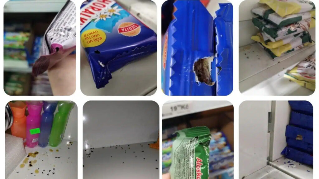 Φωτογραφίες σοκ από την παρουσία τρωκτικών σε σούπερ μάρκετ που έκλεισε η επιθεώρηση