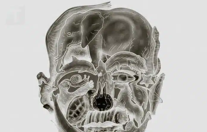 Το περίεργο οπτικό τεστ που υπόσχεται να αποκαλύψει το «χειρότερο ελάττωμά» σας με βάση το πρώτο ζώο που βλέπετε