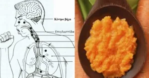 Αρχαία συνταγή για σπιτικό φάρμακο που καθαρίζει το φλέγμα από τους πνεύμονες και θεραπεύει τον βήχα