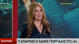 “Υπουργέ μήπως δεν έχεις…;” Σκληρό τρολ Αναστασίας Γιάμαλη για Άδωνι Γεωργιάδη