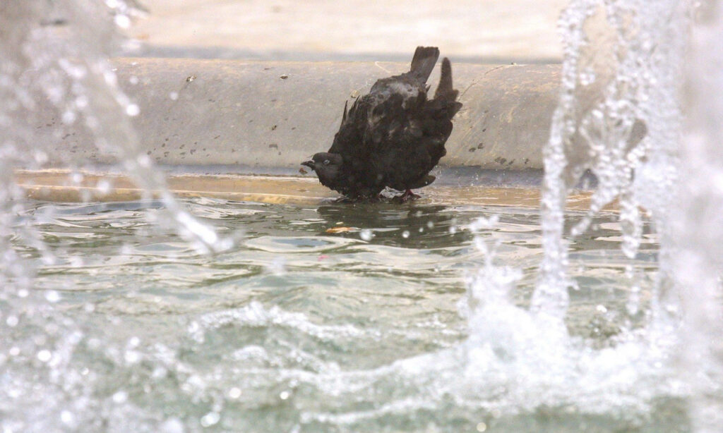 ΦΡΙΚΗ: ΜΑΘΕΥΤΗΚΕ ΓΙΑ ΤΗΝ ΜΙΚΡΟΥΛΑ ΠΟΥ ΕΠΕΣΕ ΣΤΟ ΣΥΝΤΡΙΒΑΝΙ – ΒΡΗΚΑΝ ΣΤΟΝ ΕΓΚΕΦΑΛΟ ΤΗΣ ΕΝΑ…