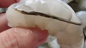 H «φλέβα» της γαρίδας: Η λεπτομέρεια στην μαγειρική που λίγοι γνωρίζουν και πολλοί συζητούν