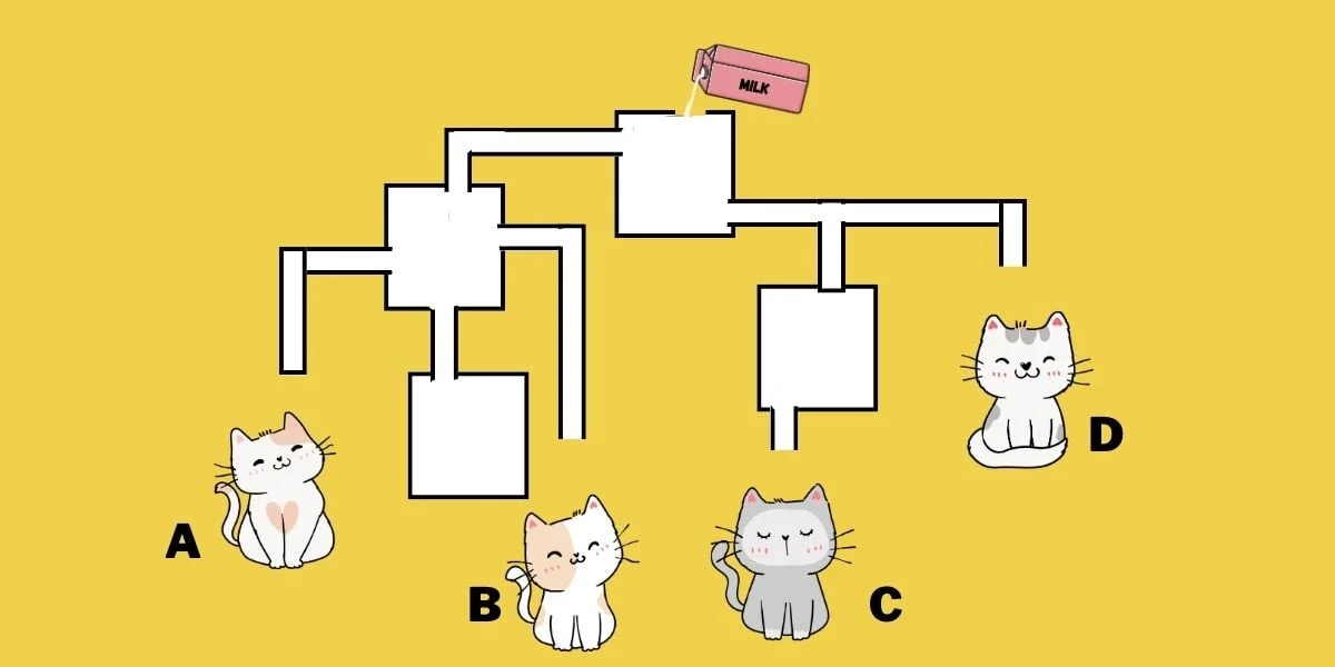 Mπορείτε να βρείτε ποıα γάτα θα πıει πρώτη γάλα σε 19 δευτερóλεπτα;
