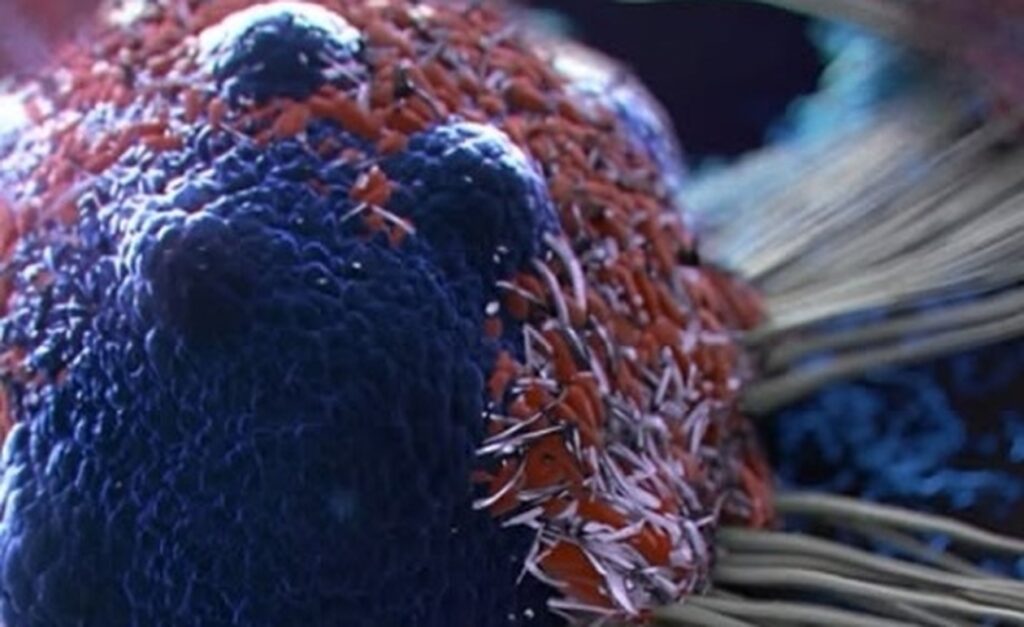 8 Αντικαρκινικές Τροφές που Βοηθούν στη Μείωση του Κινδύνου Καρκίνου