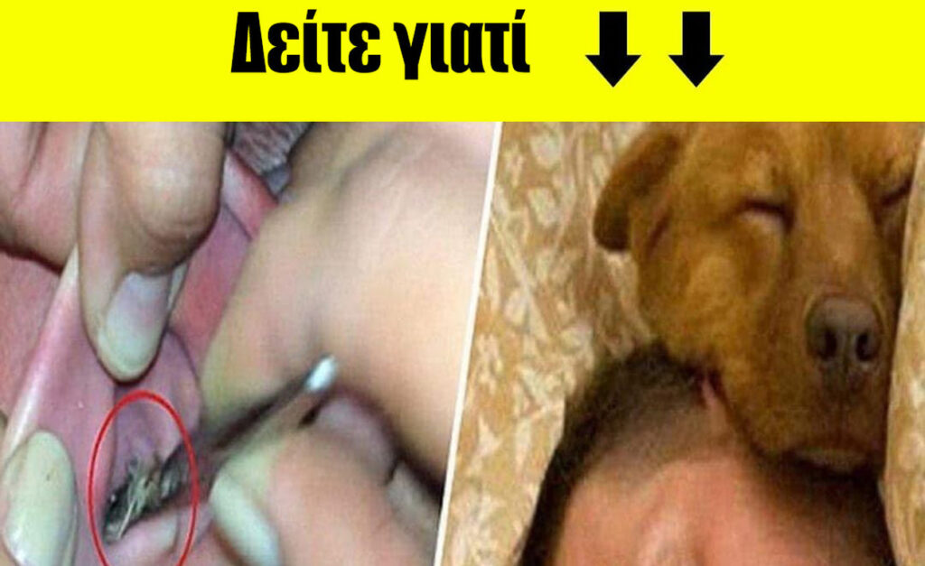 ΜΗΝ ΚΟΙΜΑΣΤΕ ΜΕ ΤΑ ΚΑΤΟΙΚΙΔΙΑ ΣΑΣ, ΜΗΝ ΡΙΣΚΑΡΕΤΕ ΤΗ ΖΩΗ ΣΑΣ, ΝΑ ΓΙΑΤΙ