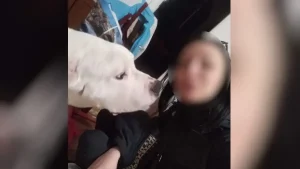 Μαθεύτηκε τι σοκαριστικό φώναζε ο 38χρονος στην 31χρονη έγκυο σύντροφό του που βρέθηκε νεκρή στον Κολωνό