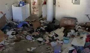 Βασιλιάδες της ακαταστασίας: Ποια είναι τα 3 πιο ανοργάνωτα ζώδια