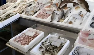 Το πιο υγιεινό ψάρι που όλοι πρέπει να τρώμε τουλάχιστον δύο φορές την εβδομάδα