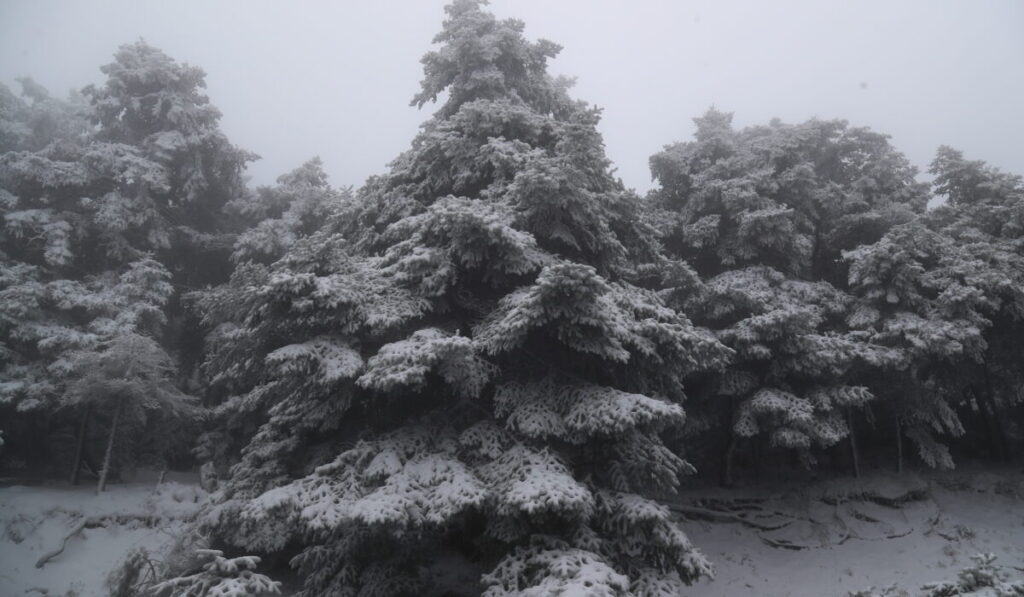 ΕΚΤΑΚΤΟ – Δείτε που χιονίζει τώρα