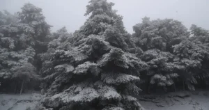 Δείτε που χιονίζει τώρα