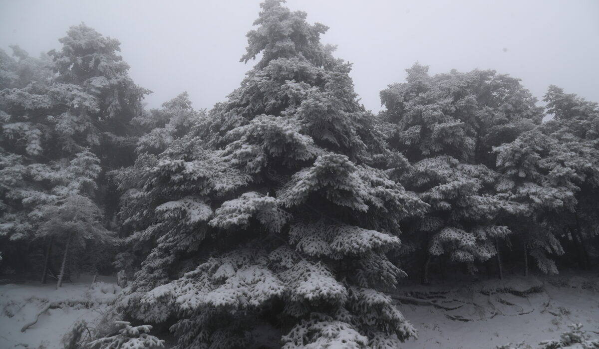 ΕΚΤΑΚΤΟ - Δείτε που χιονίζει τώρα
