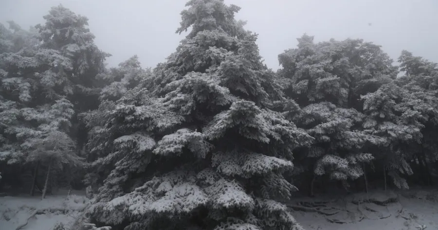 Δείτε που χιονίζει τώρα