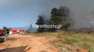 Μεγαλη Φωτιά τώρα – Μεγάλη κινητοποίηση της Πυροσβεστικής