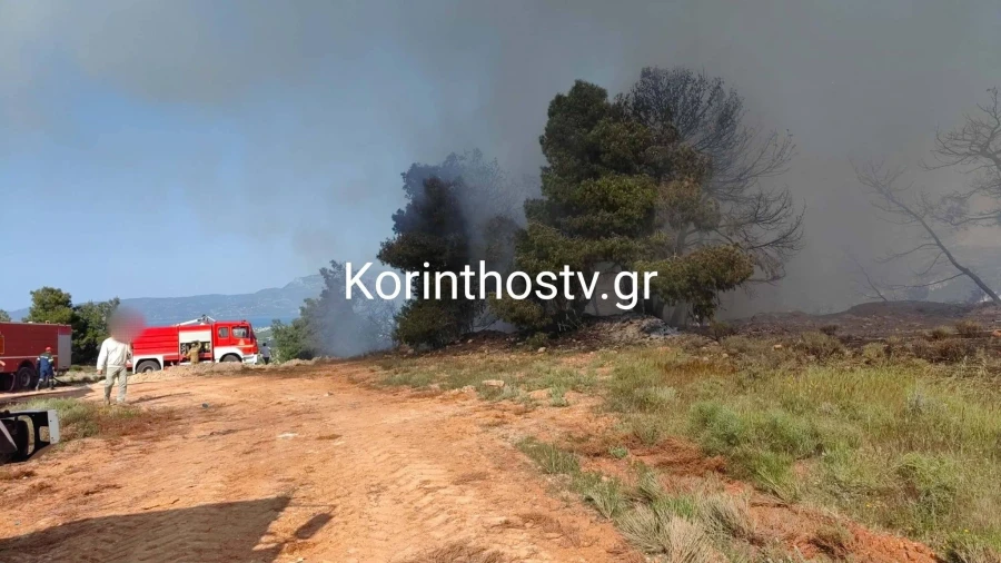Μεγαλη Φωτιά τώρα – Μεγάλη κινητοποίηση της Πυροσβεστικής