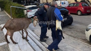 ΔΕ ΘΑ ΠΙΣΤΕΥΕΤΕ ΠΟΙΟΣ ΕΙΝΑΙ Ο ΕΠΙΧΕΙΡΗΜΑΤΙΑΣ ΠΟΥ ΕΙΧΕ ΠΑΡΑΝΟΜΟ ΜΑΝΤΡΙ ΣΤΗΝ ΑΘΗΝΑ