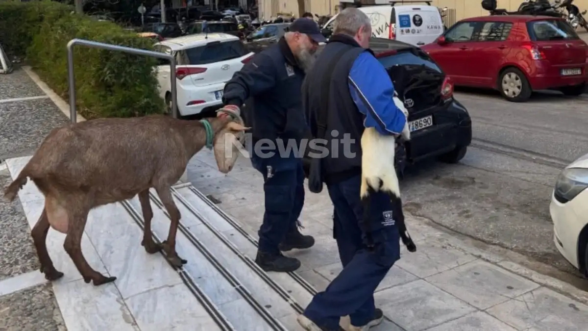 ΔΕ ΘΑ ΠΙΣΤΕΥΕΤΕ ΠΟΙΟΣ ΕΙΝΑΙ Ο ΕΠΙΧΕΙΡΗΜΑΤΙΑΣ ΠΟΥ ΕΙΧΕ ΠΑΡΑΝΟΜΟ ΜΑΝΤΡΙ ΣΤΗΝ ΑΘΗΝΑ