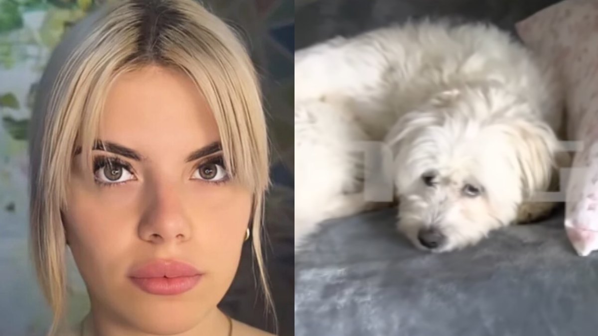 Κεφαλονιά: Η κάμερα μέσα στο δωμάτιο της Μυρτούς – Συγκλονίζει το πλάνο που κατέγραψε (Βίντεο)