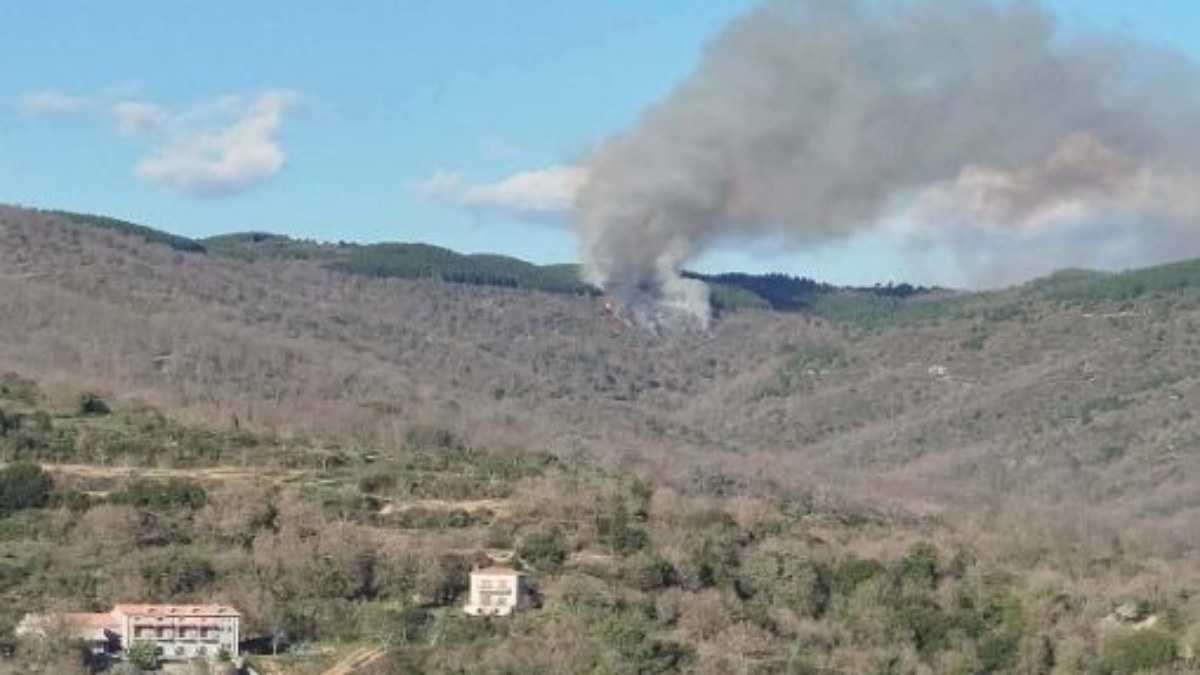 Έκτακτο- Φωτιά τώρα: Ξέσπασε μεγάλη πυργκαγιά