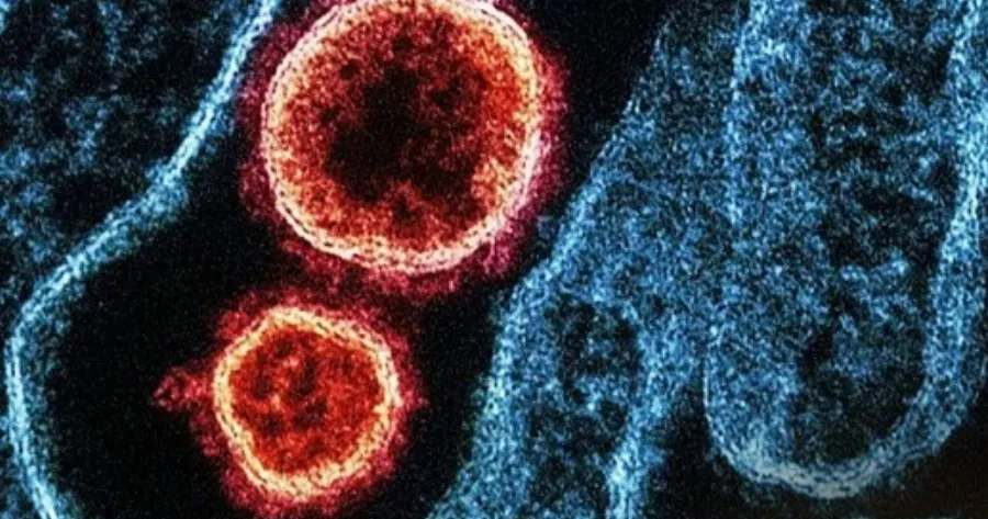 ΒΟΜΒΑ ΣΤΗΝ ΕΛΛΑΔΑ: ΧΡΗΣΗ ΜΑΣΚΑΣ ΣΕ ΚΛΕΙΣΤΟΥΣ ΧΩΡΟΥΣ ΛΟΓΩ ΤΟΥ ΝΕΟΥ ΙΟΥ