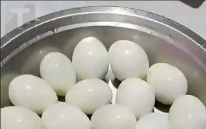 Πόσα αυγά βλέπετε σε αυτή την φωτογραφία;