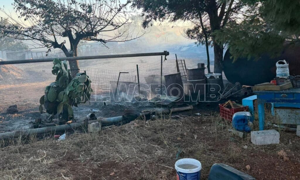 Στις φλόγες κτηνοτροφική μονάδα – Κάηκαν δεκάδες ζώα